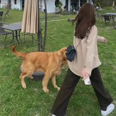 穿靴子的猫:萌猫三剑客